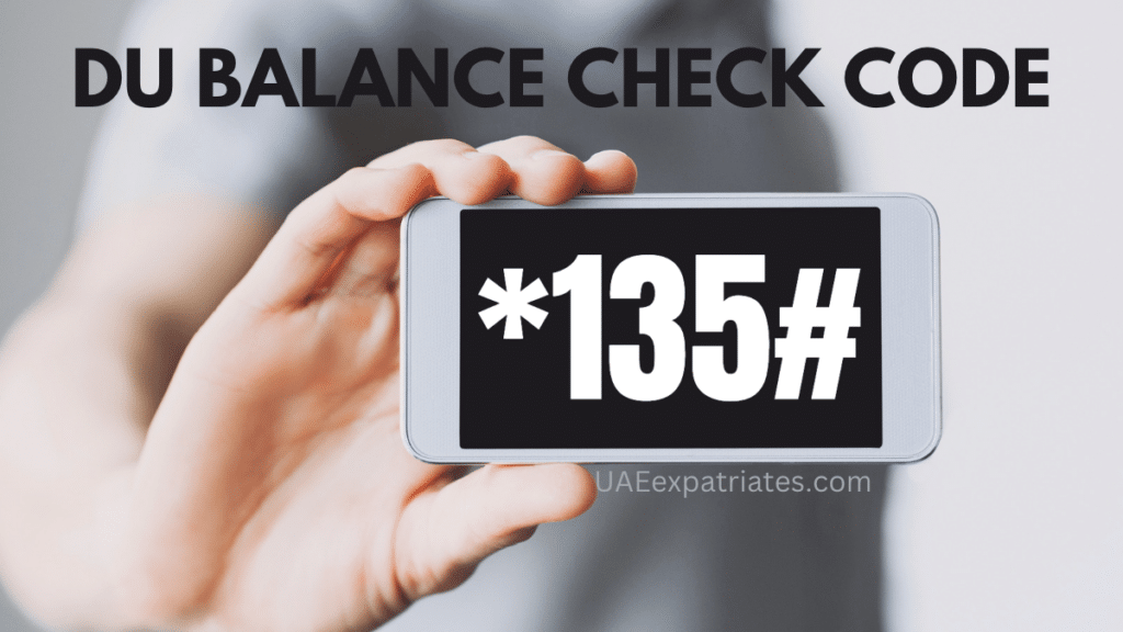 how to check balance in du business plan