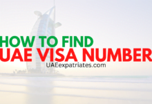 HOW TO FIND UAE VISA NUMBER