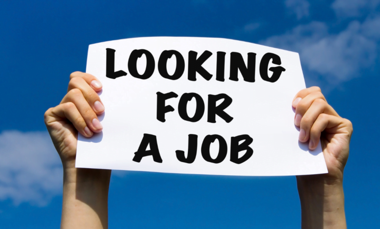 How to Get a Job in UAE for Freshers