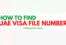 UAE VISA FILE NUMBER CHECK