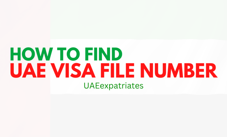 UAE VISA FILE NUMBER CHECK