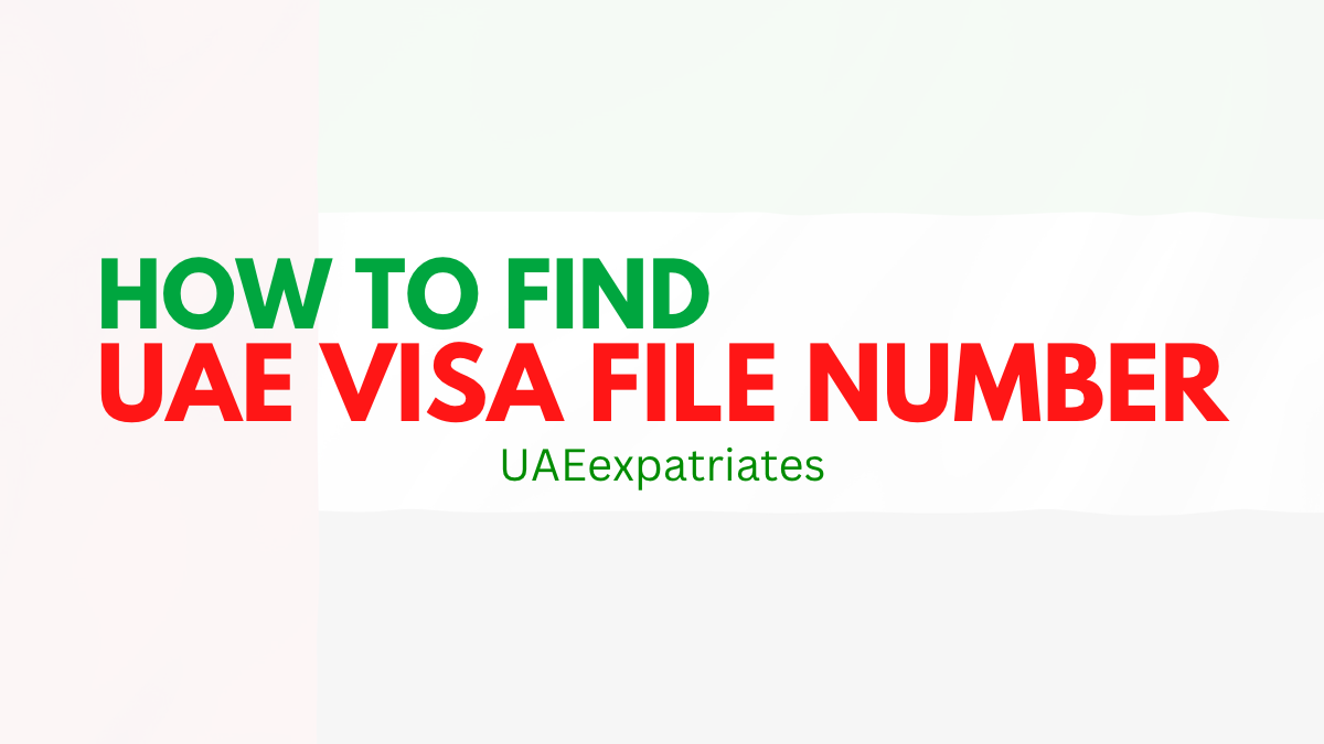 How Can I Find My UAE Visa File Number UAE Expats How Can I Find My UAE Visa File Number UAE Expats