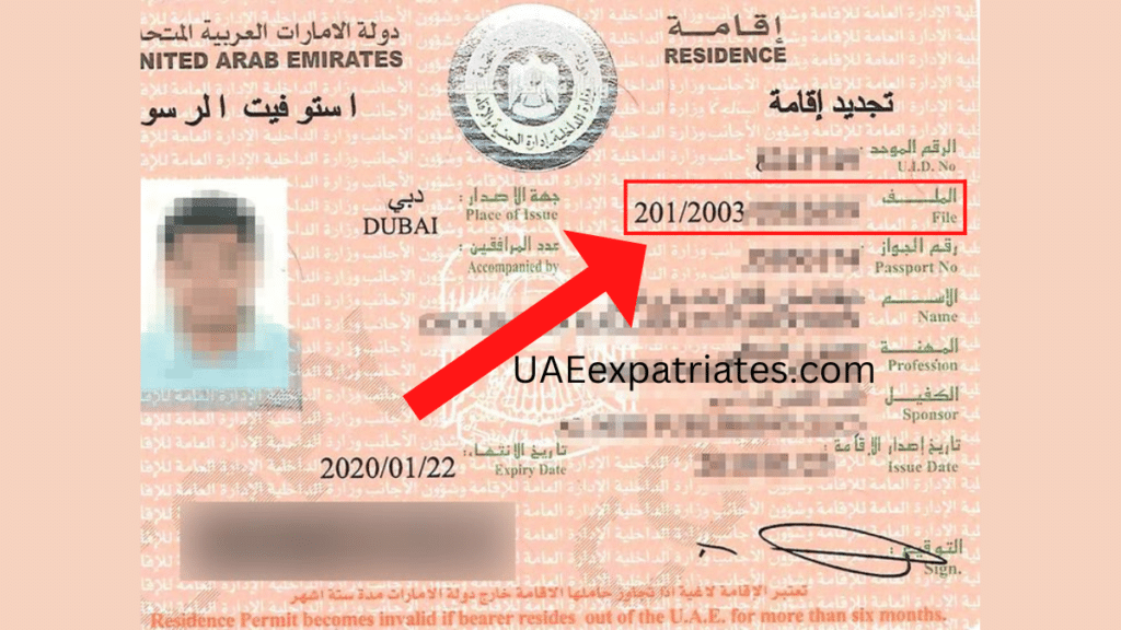 UAE visa file number, how to find file number in UAE visa.