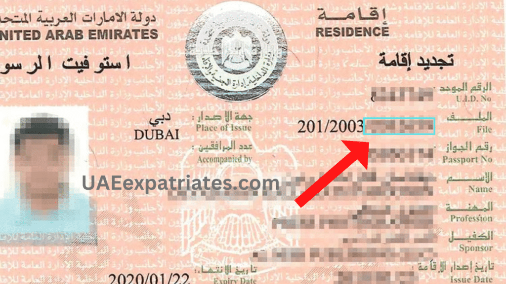 uae visa number