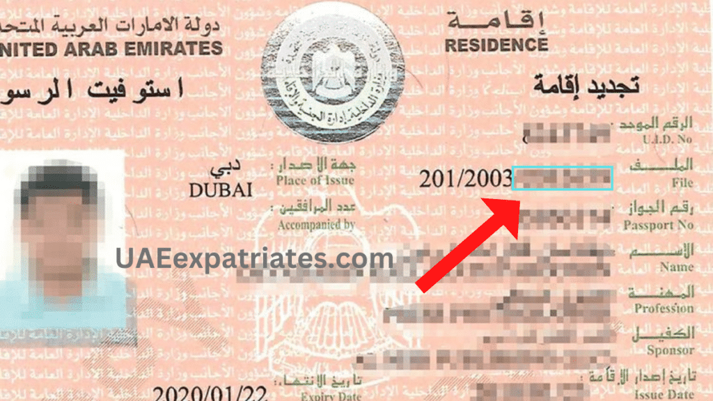 how can i download my dubai visa with passport number