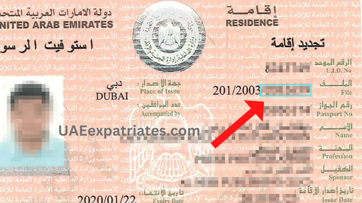 uae tourist visa file number