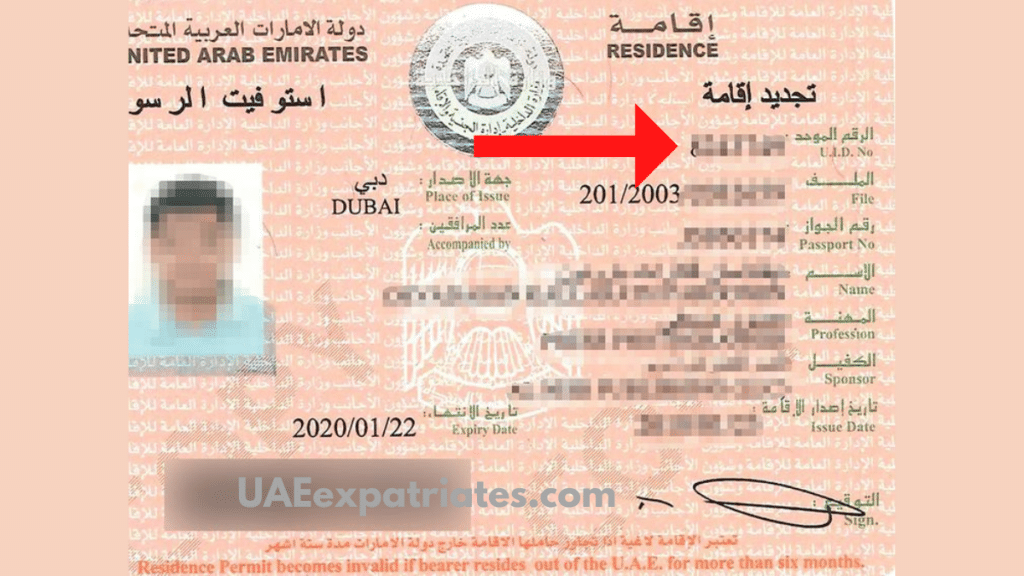 uid number uae, unified number uae, how to check on residence visa, passport