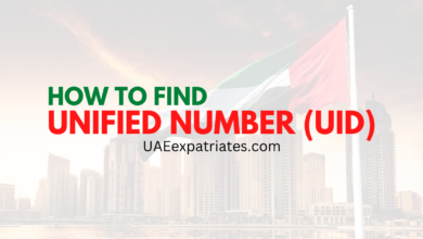 UNIFIED NUMBER (UID) check uid number