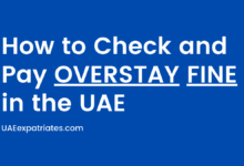 How to Check and Pay OVERSTAY FINE in the UAE