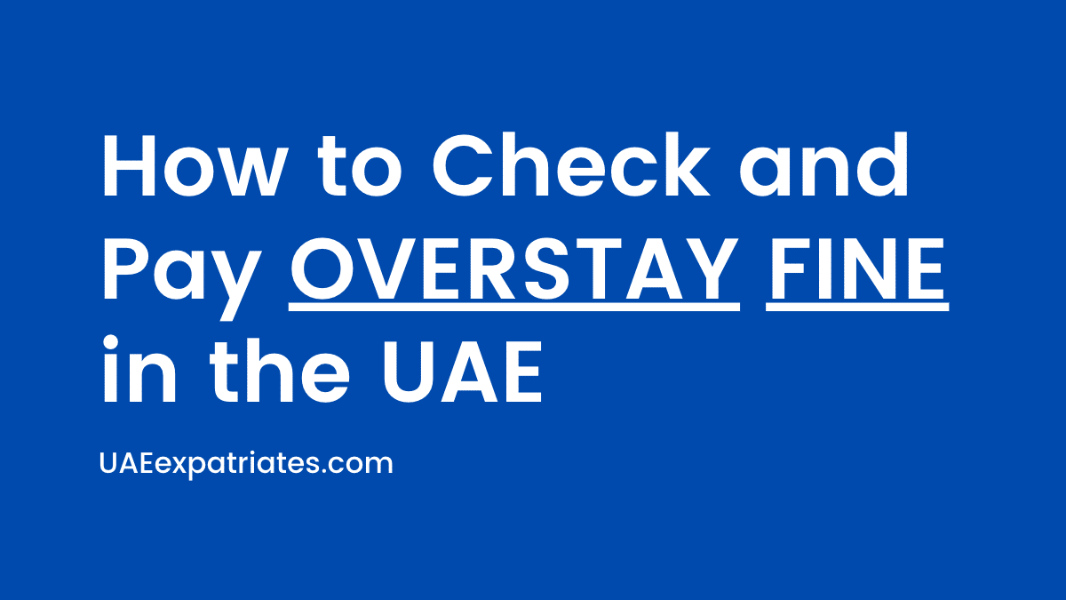 How to Check and Pay Overstay Fine in UAE in 2024