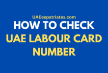 HOW TO CHECK UAE LABOUR CARD NUMBER