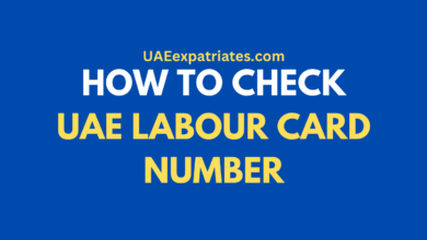 HOW TO CHECK UAE LABOUR CARD NUMBER