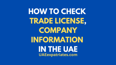 How to Check Trade License and Company Information Online in UAE