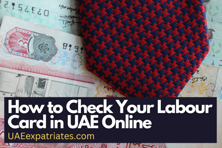 How to Check Your Labour Card in UAE Online
