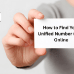 How to check UAE Unified Number UID online using passport
